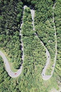 High angle view of road amidst trees