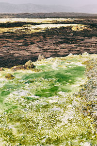 High angle view of water flowing through rocks