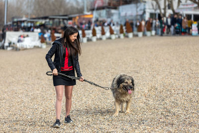 A young teenager uses a leash to walk her  shepherd dog on the beach during a beautiful autumn  day