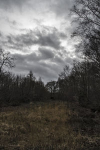 Bare trees on field against cloudy sky