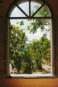 View of trees and plants