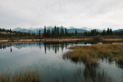 Scenic view of lake against sky