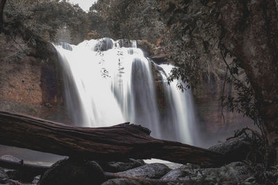 Scenic view of waterfall in forest