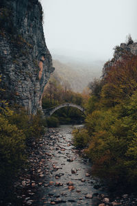 Scenic view of river amidst trees