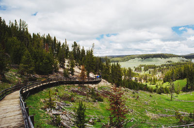 High angle view of road amidst trees against sky