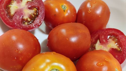 Close-up of wet tomatoes