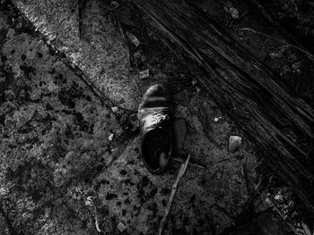 High angle view of man on rock