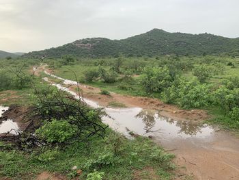 Scenic view of landscape against sky