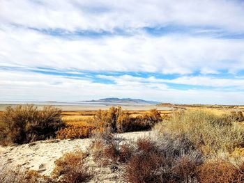 Scenic view of landscape against sky