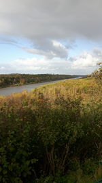 Scenic view of field against sky
