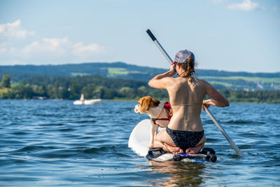 Adult woman on paddle board with male beagle, wallersee, austria.