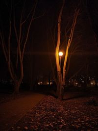 View of illuminated street at night