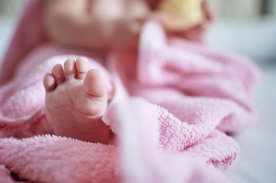 Close-up of baby girl with pink petals