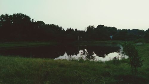 Reflection of trees in lake