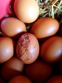 Close-up of eggs