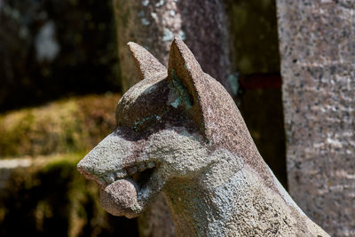 Close-up of buddha statue