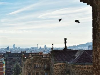 Birds flying in city against sky