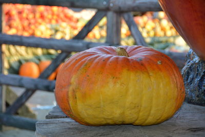 Close-up of pumpkin at market stall for sale