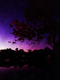 Silhouette trees against sky at night