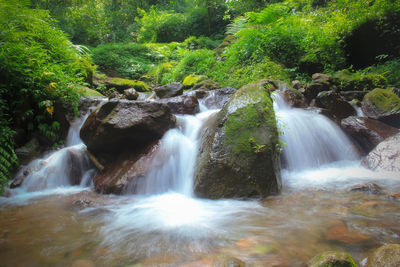 Scenic view of waterfall in forest