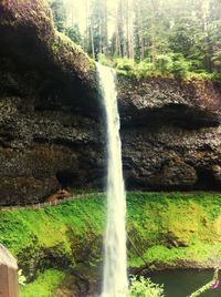 Scenic view of waterfall