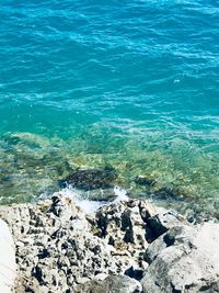 High angle view of rocks on beach