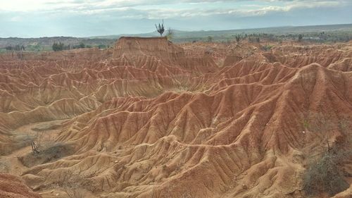 Scenic view of landscape