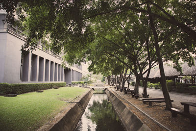 Canal amidst trees in park