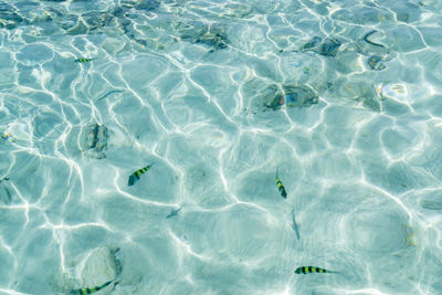 Full frame shot of swimming pool