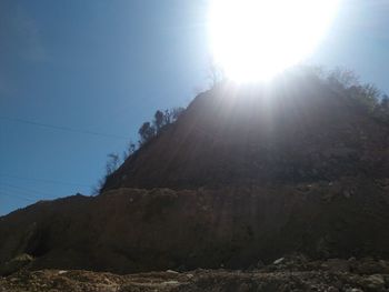 Low angle view of trees against clear sky on sunny day