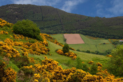 High angle view of trees and mountains against sky