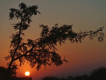Silhouette tree against romantic sky at sunset