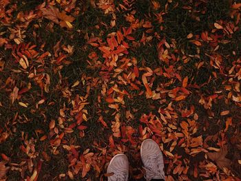 Low section of person standing on autumn leaves