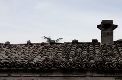 Birds perching against clear sky