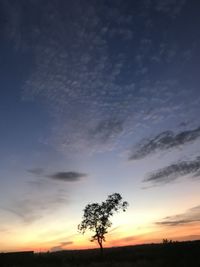 Low angle view of silhouette trees against sky during sunset