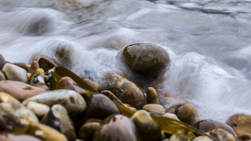 Close-up of pebbles in water