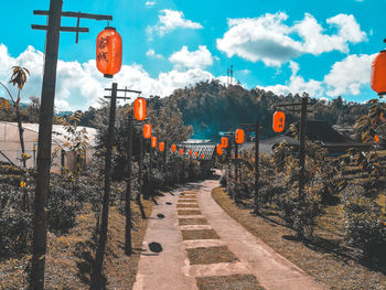 Street lights by trees against orange sky