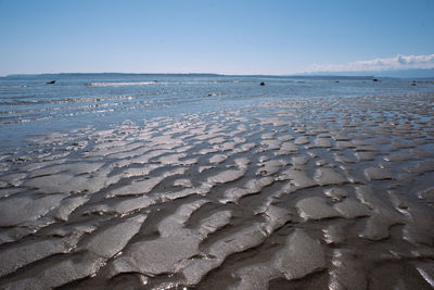 Scenic view of beach against clear sky