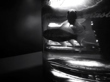 Reflection of woman on mirror at home