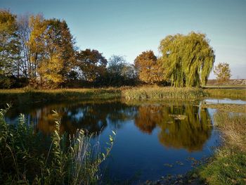 Reflection of trees in lake against sky