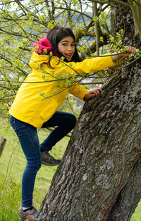 Children trying to climb a tree