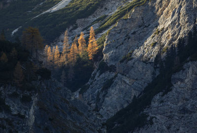 Low angle view of rock formation on land