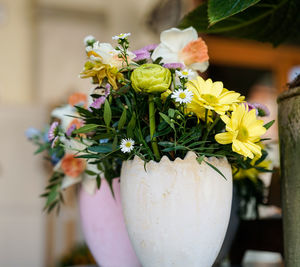 Close-up of potted plant