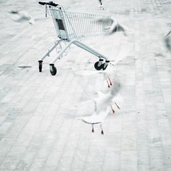 High angle view shopping cart while on footpath birds flying