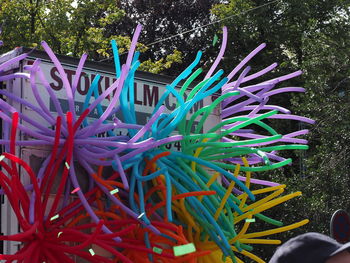 Close-up of multi colored tree