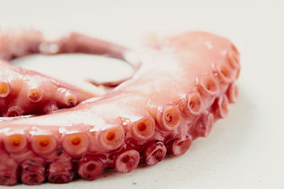 Close up of a boiled octopus