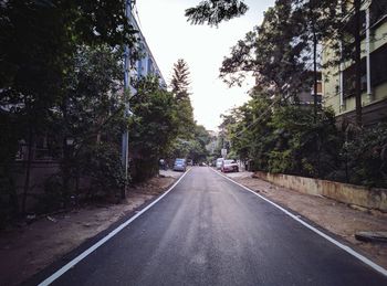 Empty road along trees and plants