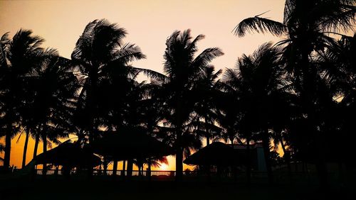 Silhouette trees against sky at sunset
