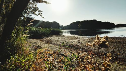 Scenic view of lake against sky