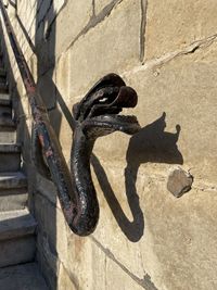 Shadow of a lizard on wall